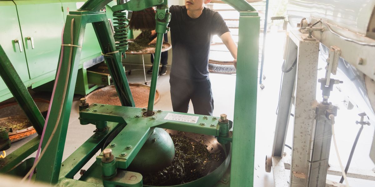 什麼是茶葉揉捻? 剖析攸關製茶品質的揉捻工序 - La Chummy 樂茶米 | 烏龍茶專賣