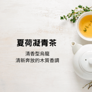 夏荷凝青茶(7/4前新上架優惠62折!)